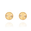 گوشواره طلا طرح تراش کد CE522
